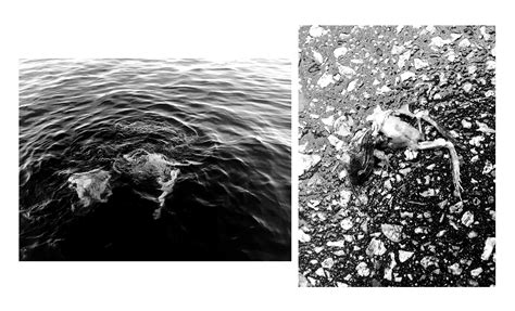 BODY DOUBLES — SHANAN KURTZ