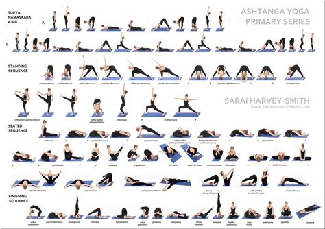 Картинки по запросу аштанга йога | Ashtanga primary series, Ashtanga ...