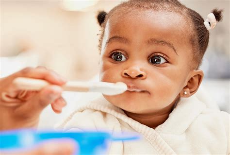 Healthy Eating for Babies – Natemia