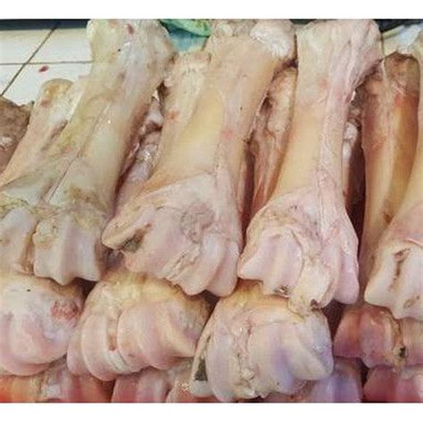 tulang sapi