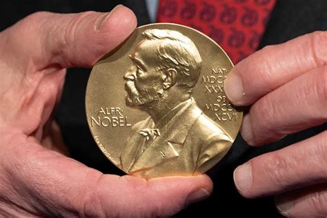 nobel medicine prize awarded  scientists  immune system discovery