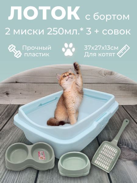 Набор лоток с бортом, совок и 2 миски, лоток для котят, туалет для ...