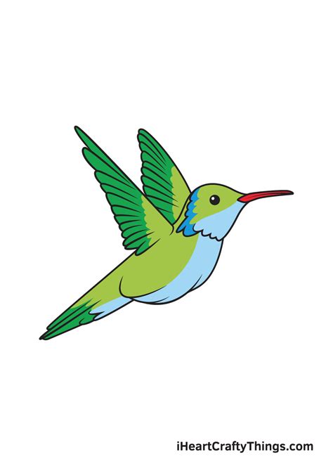 Hummingbird Drawing — How To Draw A Hummingbird Step By Step