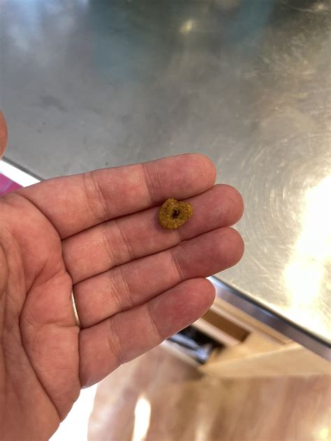 Autumn on Twitter: "Check your dog food bags from @Purina! Found cat