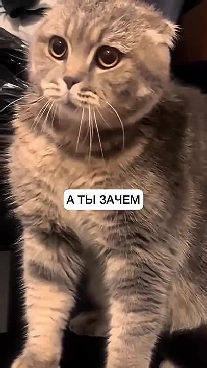 Пополнение в семье 😀 | Живая Пермь