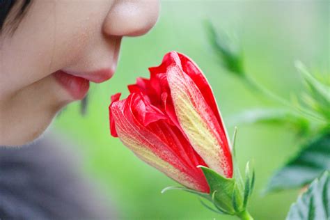 Sense Of Smell May Be Capable Of Picking Up 1 Trillion Different Scents