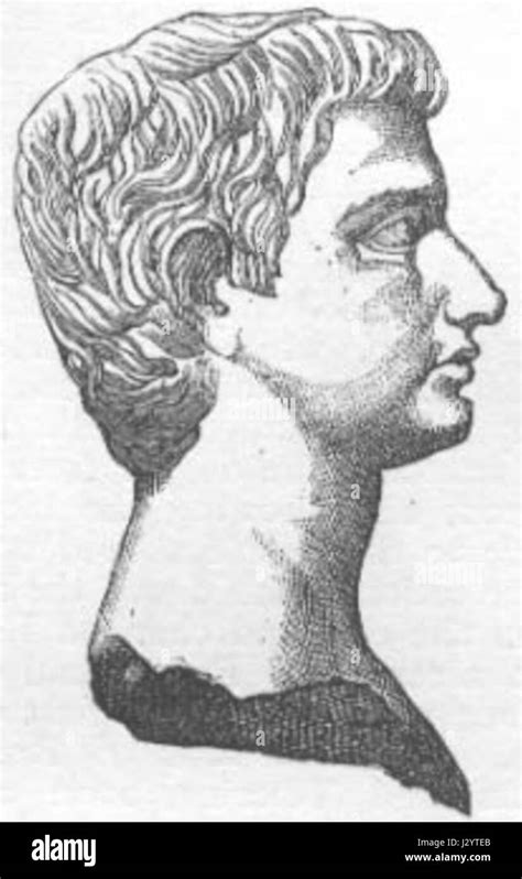 brutus black  white stock  images alamy