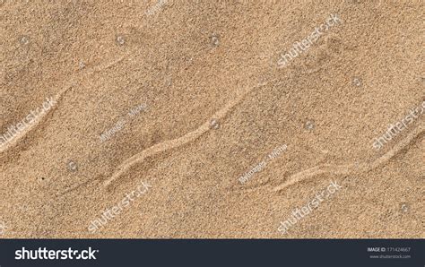 155 Snake Tracks Sand Images, Stock Photos & Vectors | Shutterstock