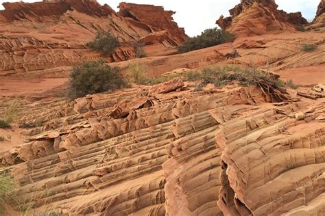 Buckskin Gulch Hiking Route from Kanab - Book at Civitatis.com