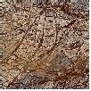 Rainforest Brown Marble at Best Price in Udaipur, Rajasthan | Pacific ...