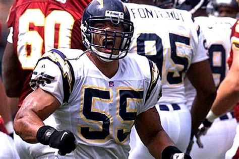 report junior seau suffered  cte