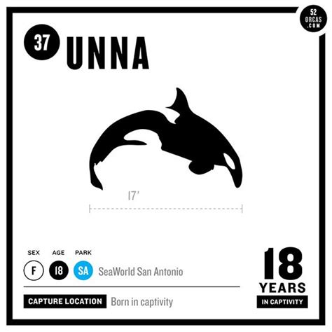 37. Unna Unna is the offspring of the two most successfully bred orcas ...