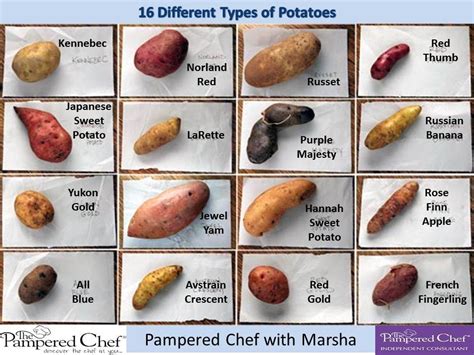 16 Different types of potatoes | Types of potatoes, Sweet potato ...