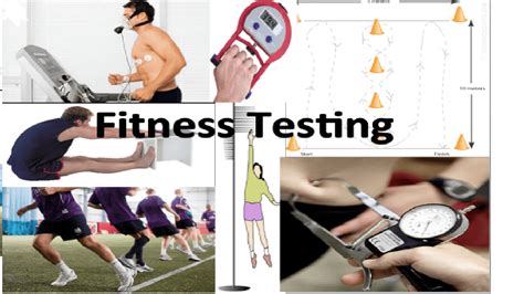 Year 7 Fitness Tests Assessment 1st Grade Quiz | Quizizz