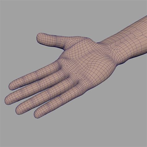 Low poly Hand 3D Model $6 - .ma .obj .fbx - Free3D