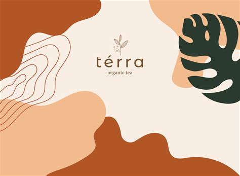 Visual ID Térra :: Behance