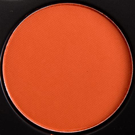 Morphe Eyeshadow • Eyeshadow Review & Swatches