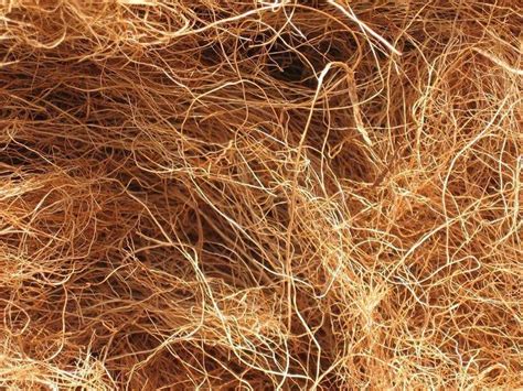 #SabíasQue… La fibra de coco es un material orgánico que funciona como ...