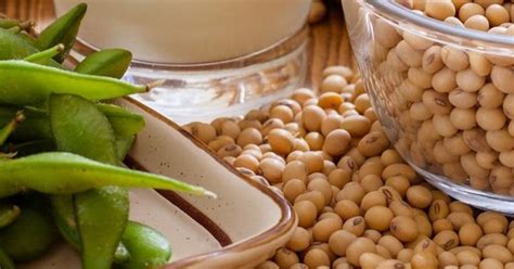 Far more than just a bean! | Kikkoman