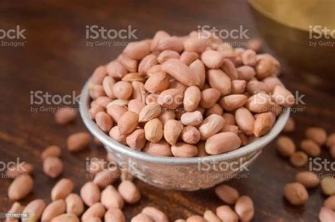 Groundnut at ₹ 115/kg | Jalore | ID: 2851491853362