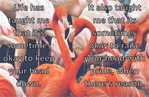 These Are the Lessons Life Has Taught Me