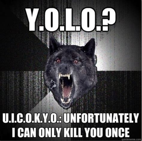 funny internet memes  pics