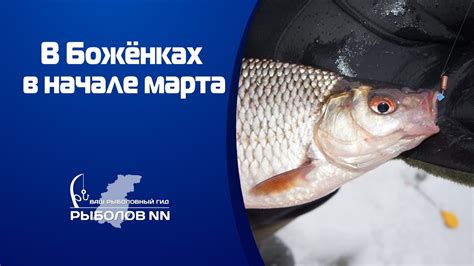 Ловля плотвы и окуня на безнасадочные мормышки в марте - YouTube