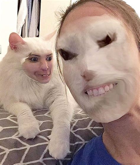 cat face swap
