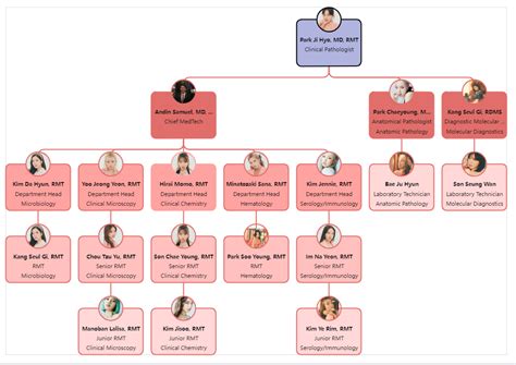 Hospital Organizational Chart - Ponasa