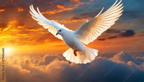 pentecostal white dove   fire  symbol  holy spirit stock