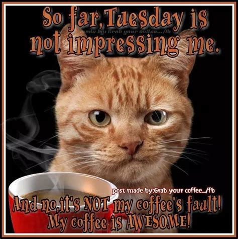 Forget Coffee: Happy Tuesday Memes Are the New Workplace Energy Booster - rvdx9mt