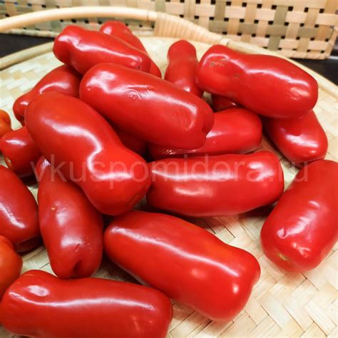 Купить семена томата сорт Дрова