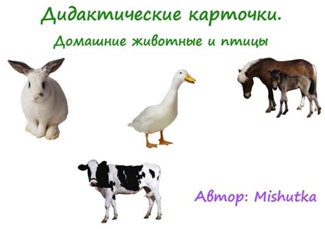 Домашние животные картинки для детского сада » DreemPics.com - картинки ...