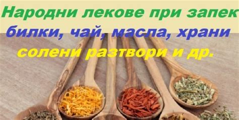 Топ рецепти за лек против запек. Народно лечение: масла, билки, храни ...