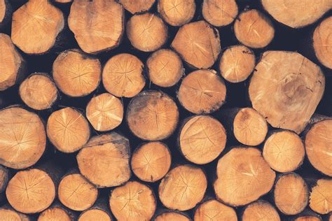 climate friendly  timber buildings  complicated