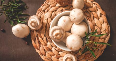 Cogumelo Que Pode Comer - Cogumelos: conheça os benefícios - Gastronomia Carioca
