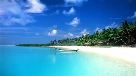 🔥 [50+] Free Live Beach Wallpapers | WallpaperSafari