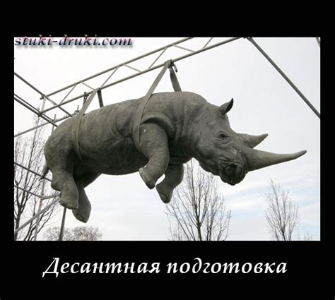 Носороги. Прикольные животные от stuki-druki.com