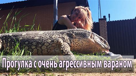 Выгул варана - YouTube