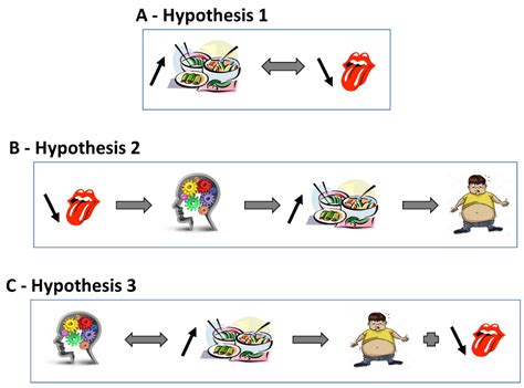 Taste of Fat and Obesity: Different Hypotheses and Our Point of View