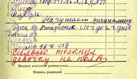 Школьный дневник (27 фото)