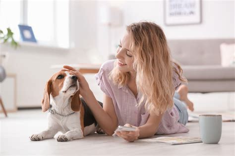 How Often Should You Give Your Dog Heartworm Medicine