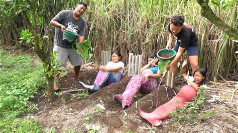 duyungnya  siram pake drh  menngis youtube