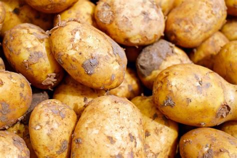 Ile kalorii mają ziemniaki? Ziemniaki tuczą i są niezdrowe? Jakie są ...