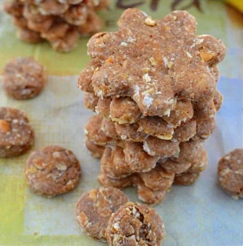 Peanut Butter Banana Dog Treats - The Cozy Cook