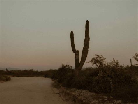 Mexican Restaurant & Cocktail Bar | Zoe's Blackheath