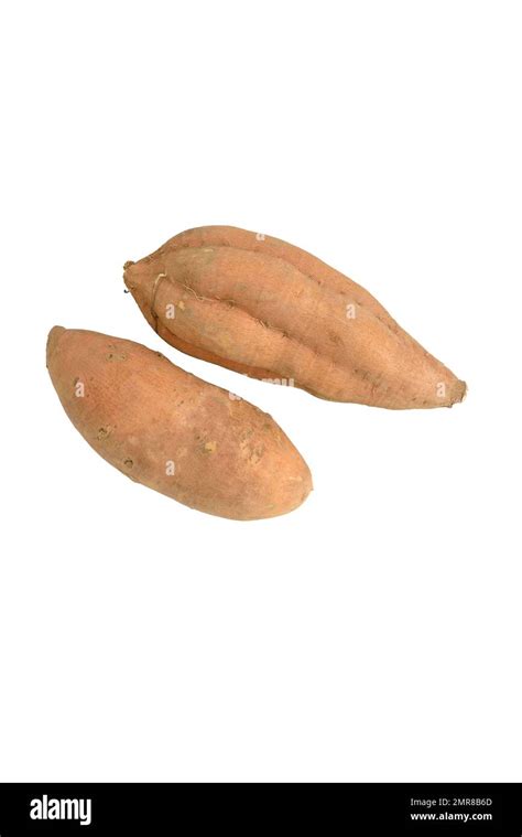 white sweet potato studio shot  white background stock photo