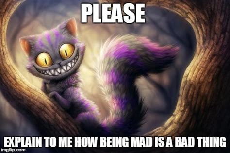 cheshire cat - Imgflip
