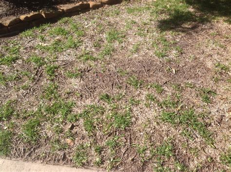 Top 2,939 Complaints and Reviews about TruGreen Lawn Care