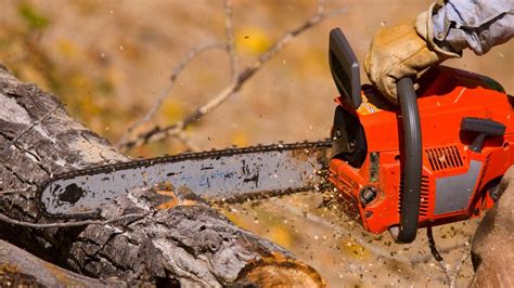 Best Chainsaw Buying Guide - Consumer Reports